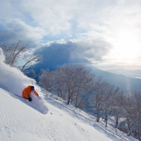 New Chitose Airport to Niseko Village: Bus & Lift Pass Package image